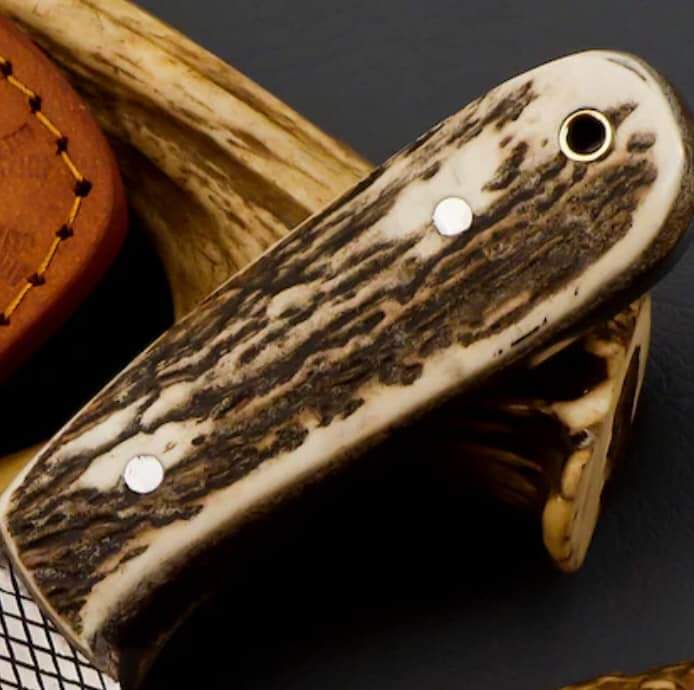 FB_IMG_1679152660949.jpg