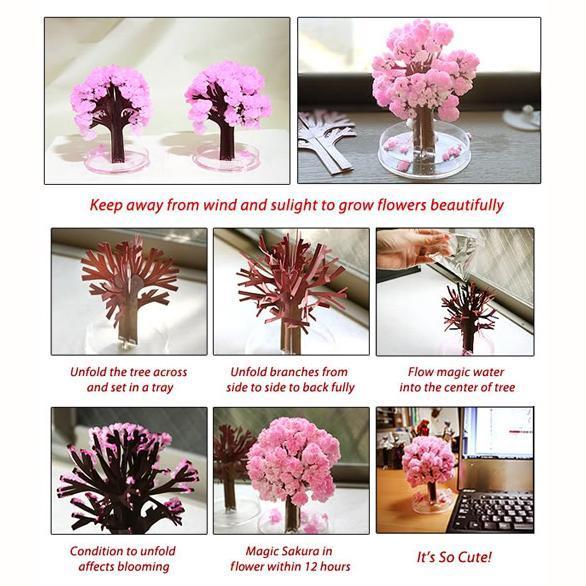 Magic Cherry Blossom Tree 4
