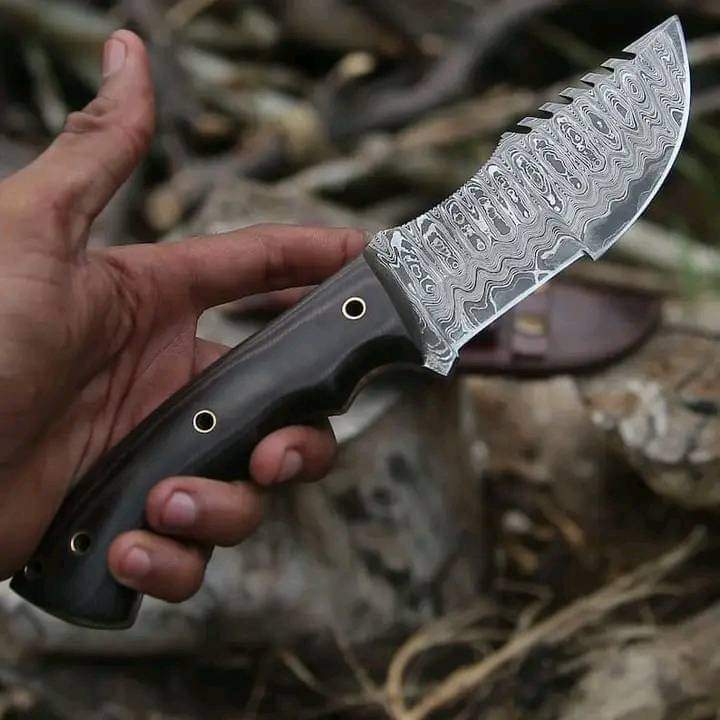 FB_IMG_1710012963505.jpg
