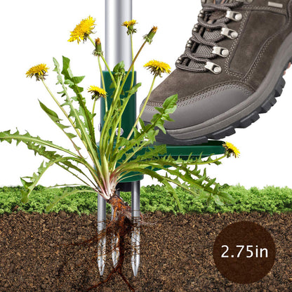 Standing Plant Root Remover Tool 2