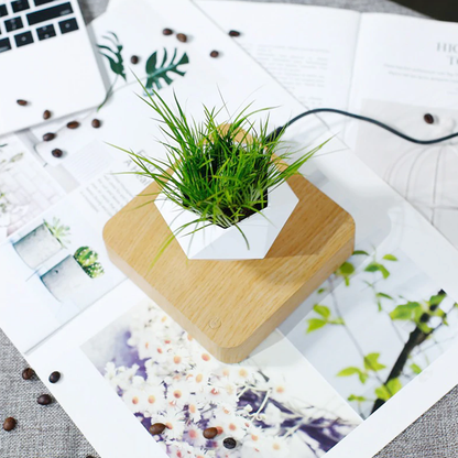 Magnetic Levitating Plant Pot For Bonsai, Real & Fake Plants 2