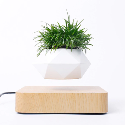 Magnetic Levitating Plant Pot For Bonsai, Real & Fake Plants Lightwood base