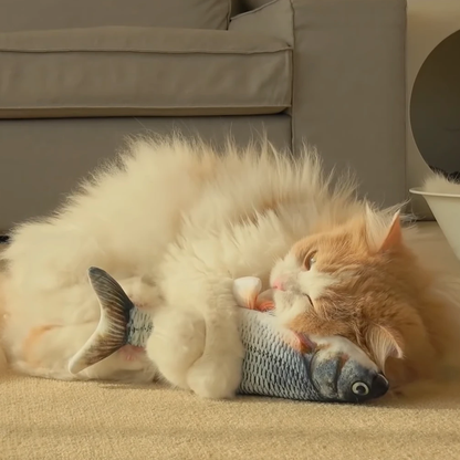 cat fish toy