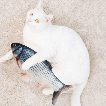 fish cat toy