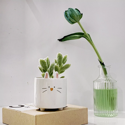 Cartoon Animal Shaped Ceramic Flower Pots 3
