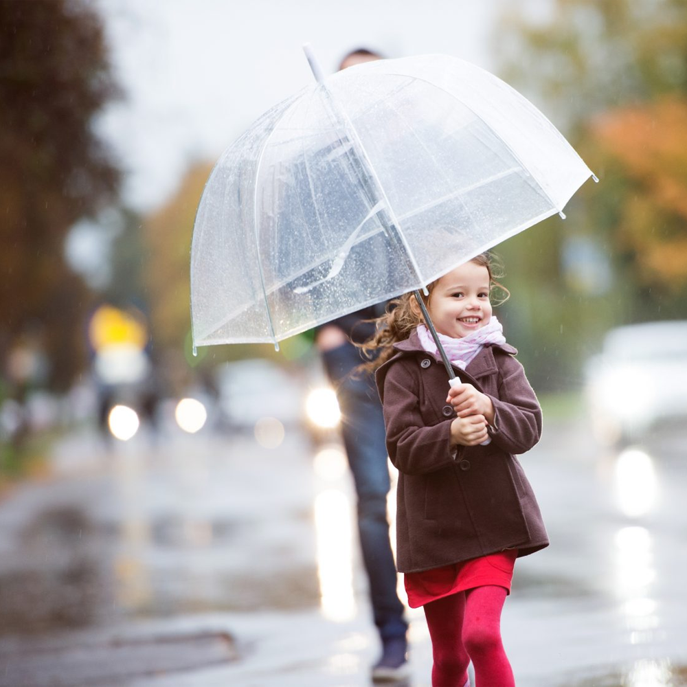 8-Rib Transparent Bubble Umbrella 1