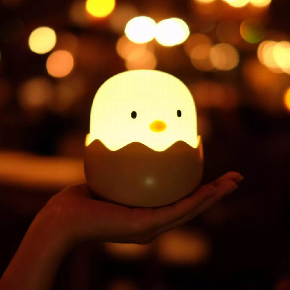 LED Egg Light 1