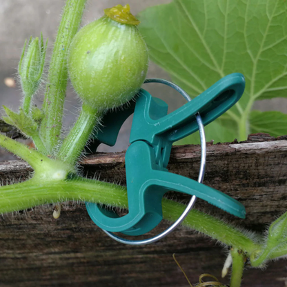 20 Pcs Plastic Plant Support Clips 1