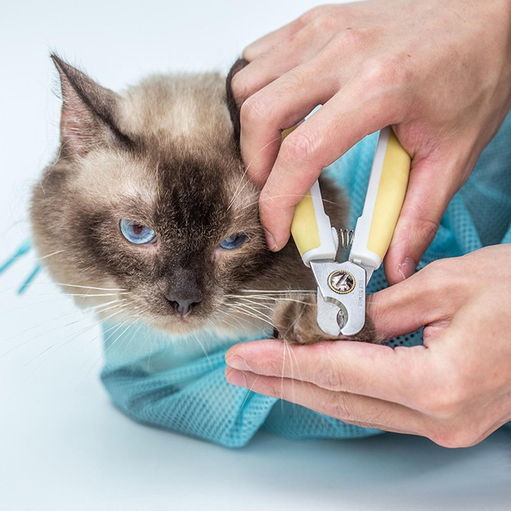 catgroomingbag2