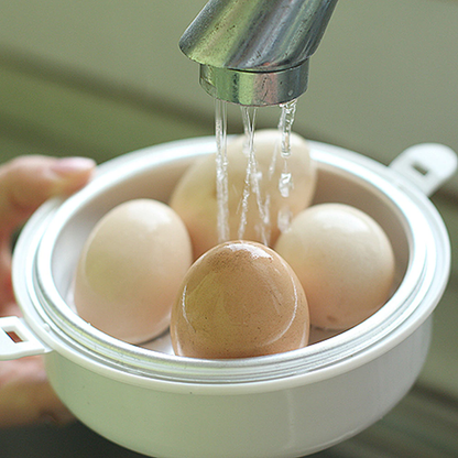 chickeneggcooker2