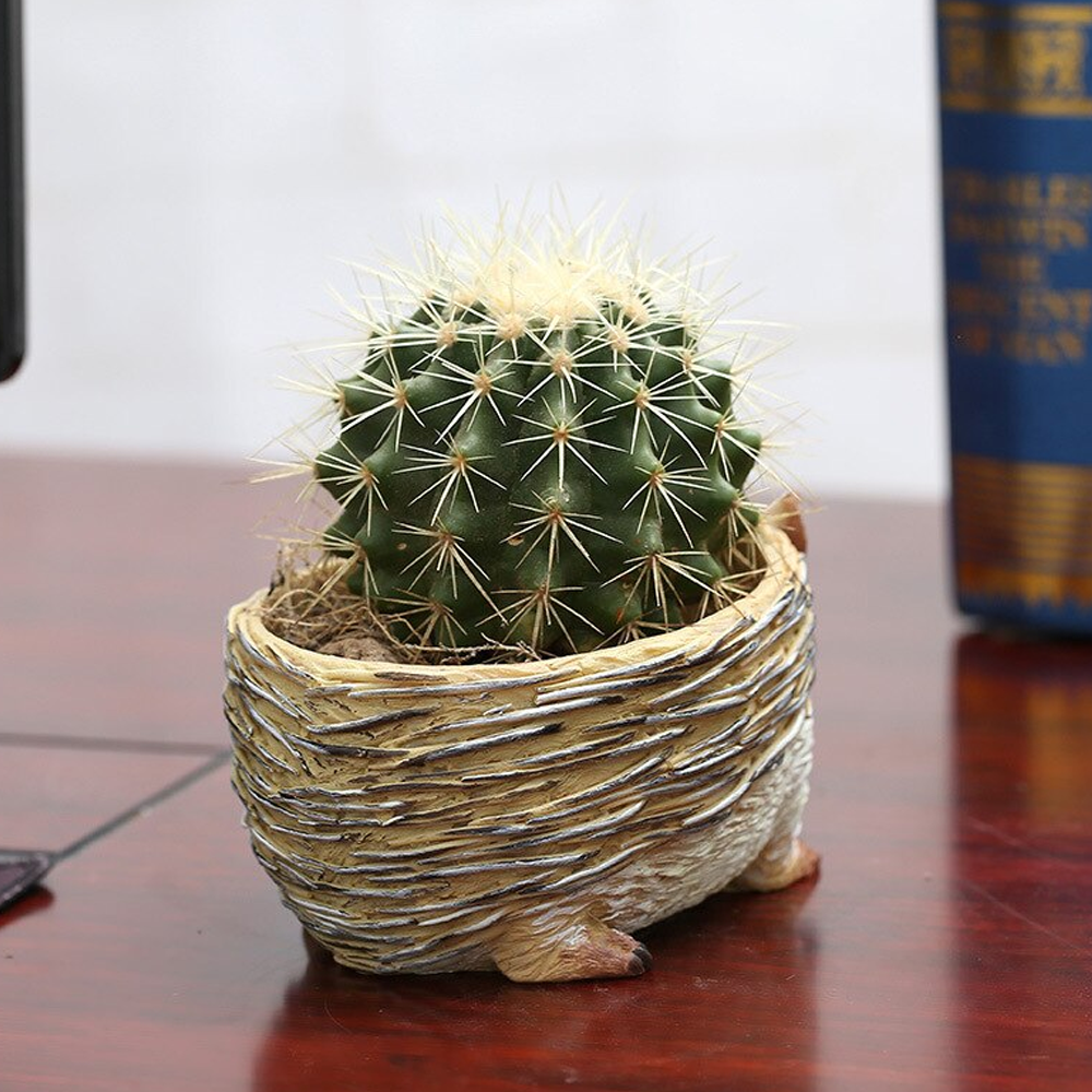Resin Hedgehog Planter 1
