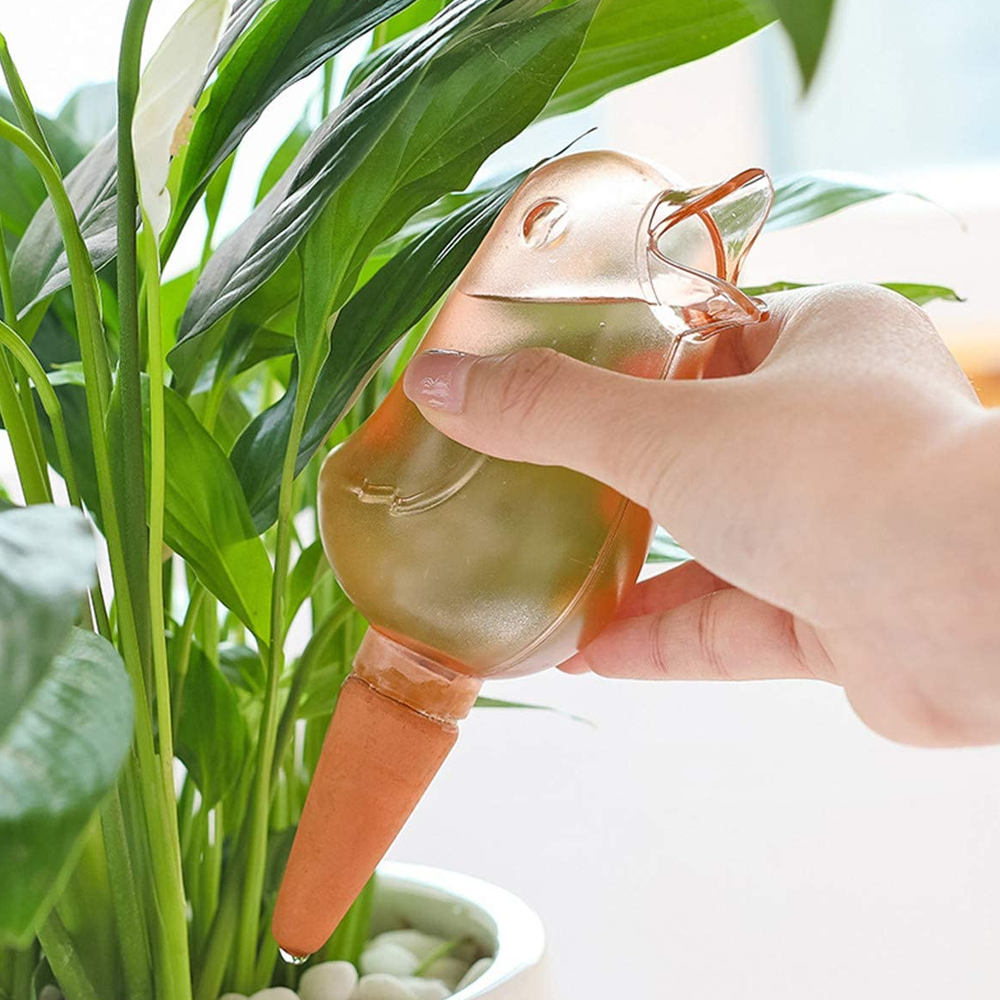 birdplantwaterer1