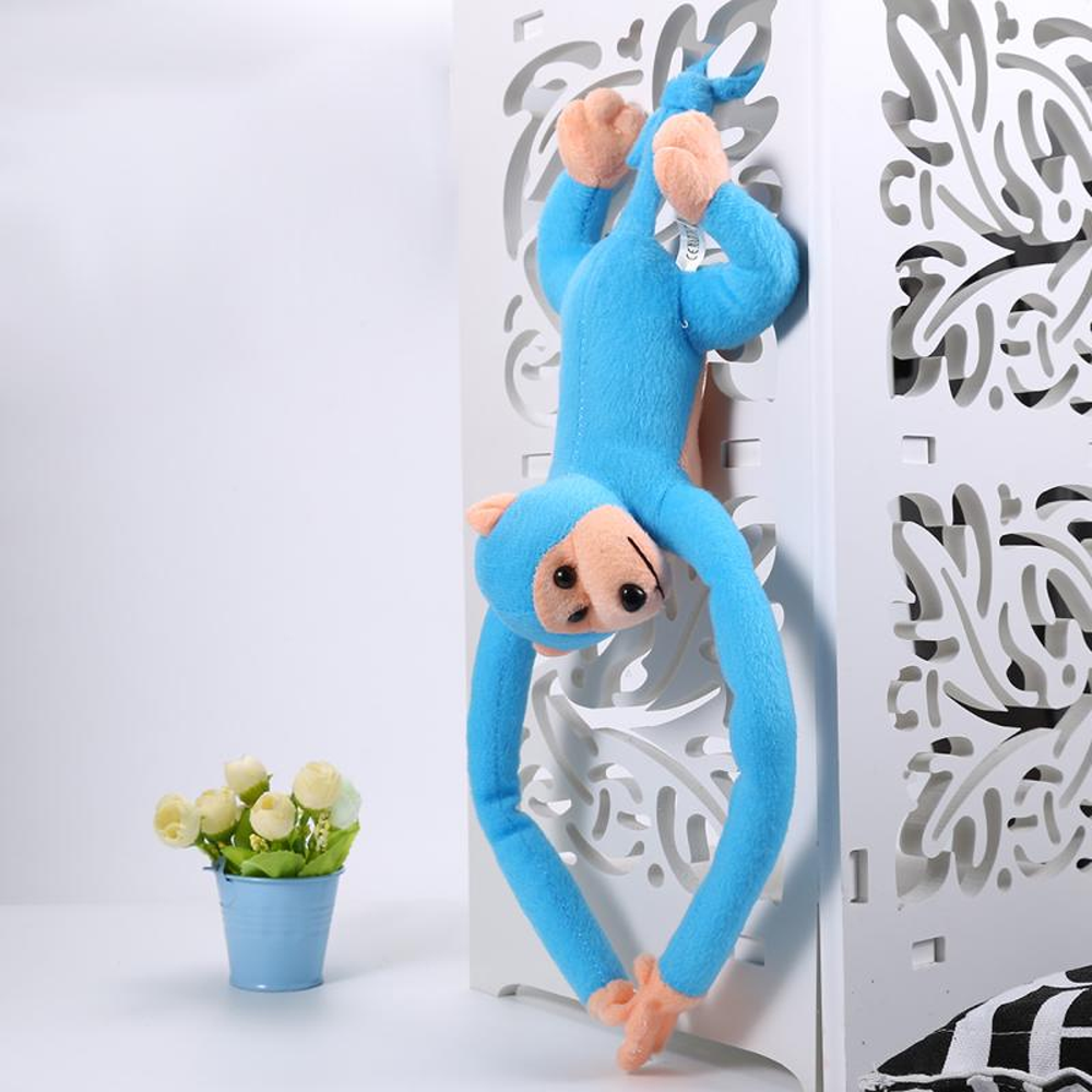 longarmmonkey3