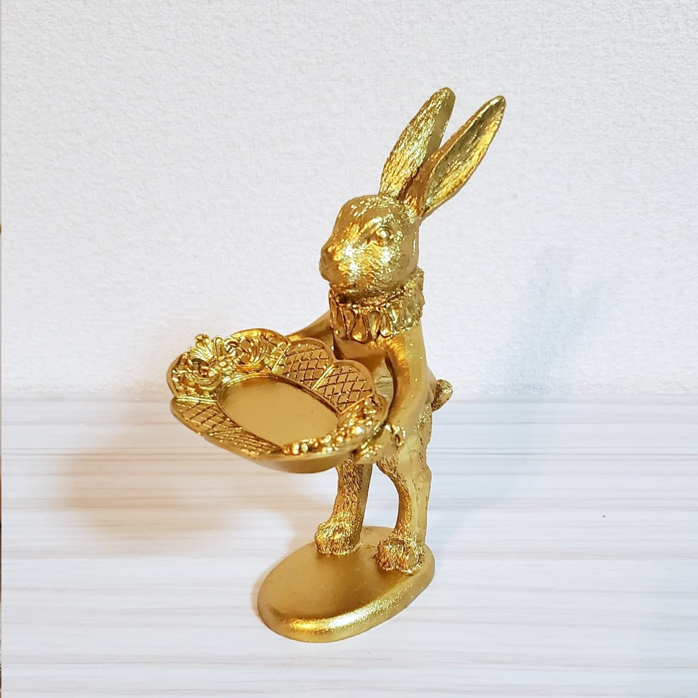 bunnyringholder4