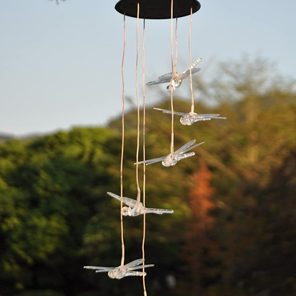 dragonflymobile4