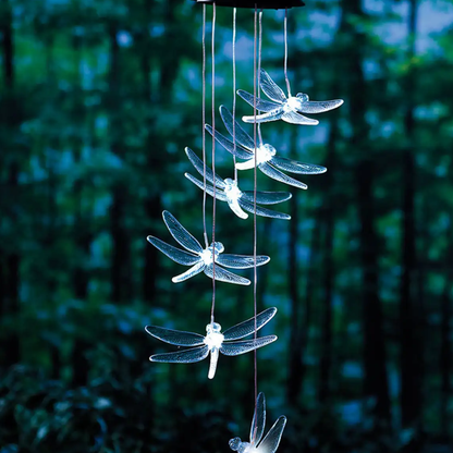 dragonflymobile5