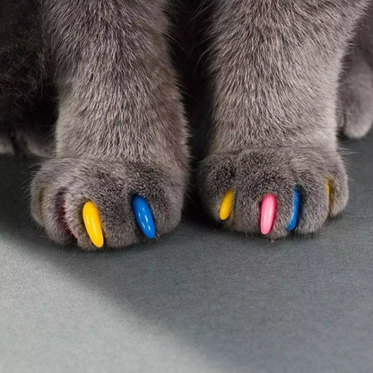 kittennailcaps3
