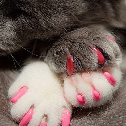 kittennailcaps5