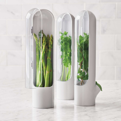 Glass Storage Container Fresh Herb Keeper