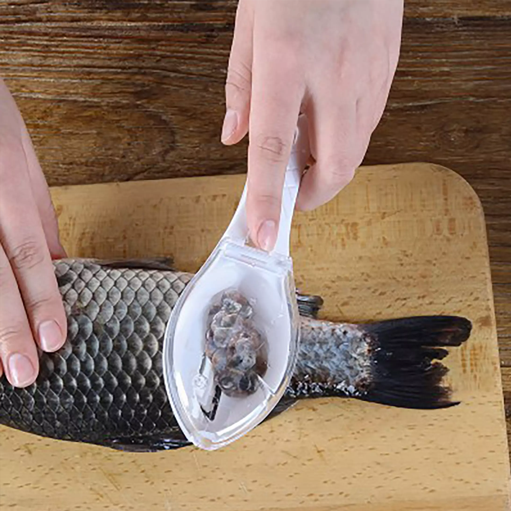 fishingscalebrush2