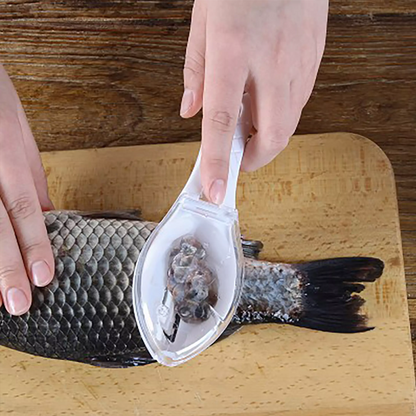 fishingscalebrush2