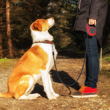 retractabledogleash2