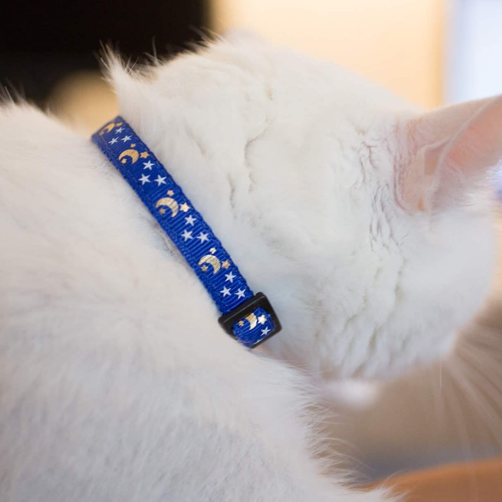 mooncatcollar2