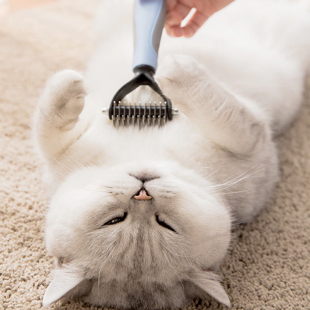 petsafedemattingcomb3