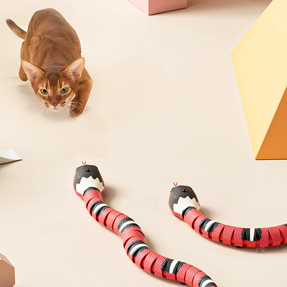 Best snake toy gift for engaging feline exercise