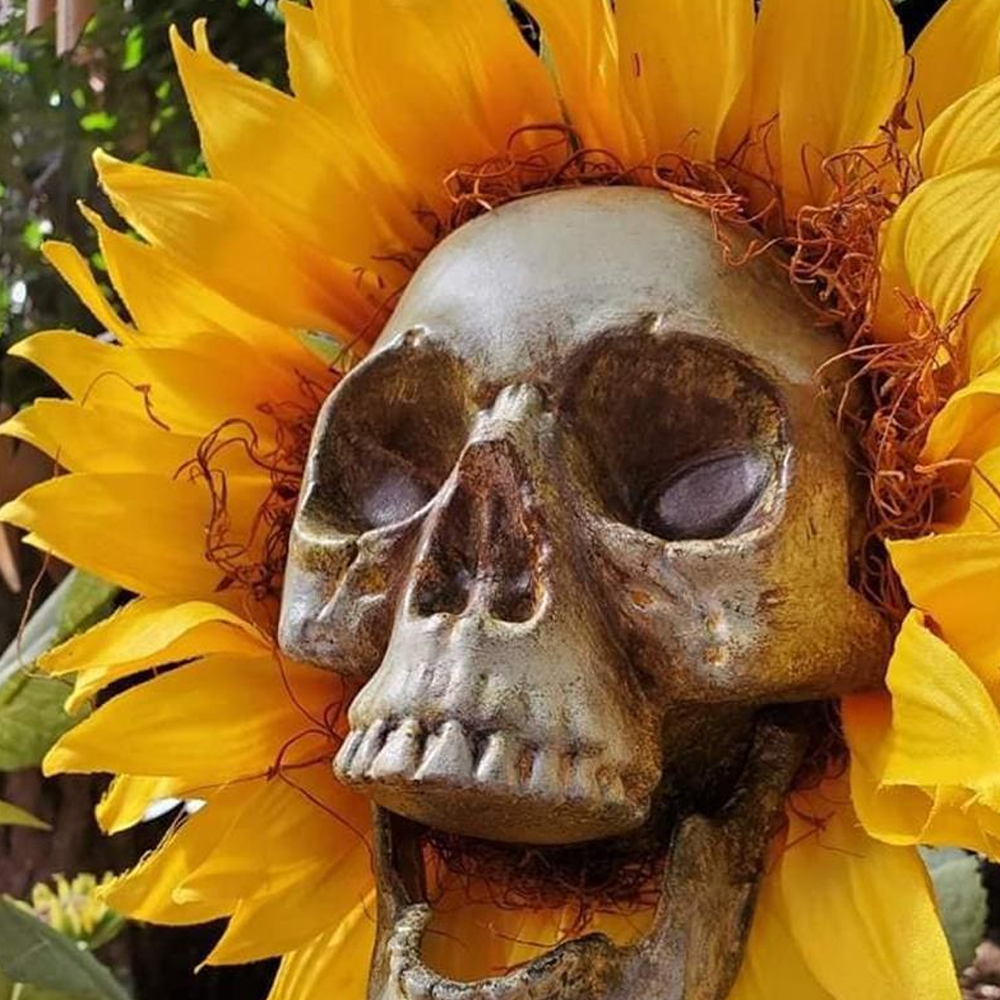 skullsunflowers4.png