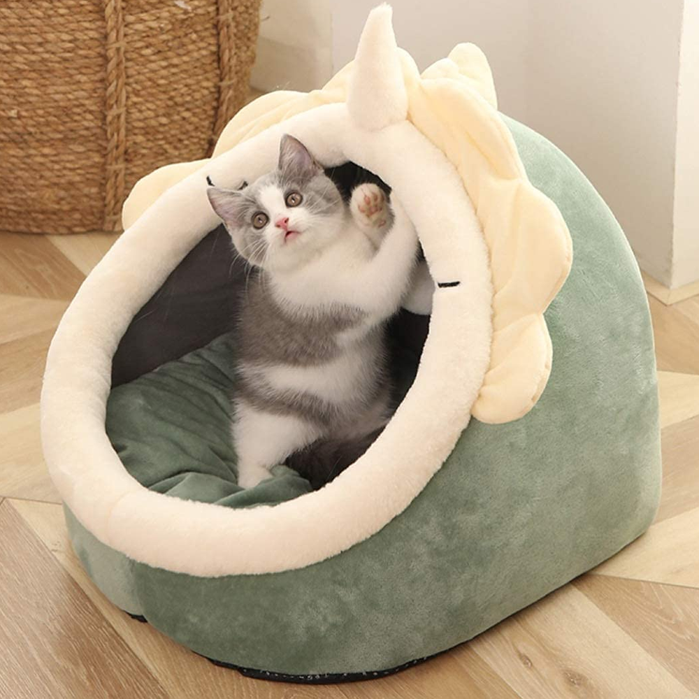 petcavebeddinosaur.png