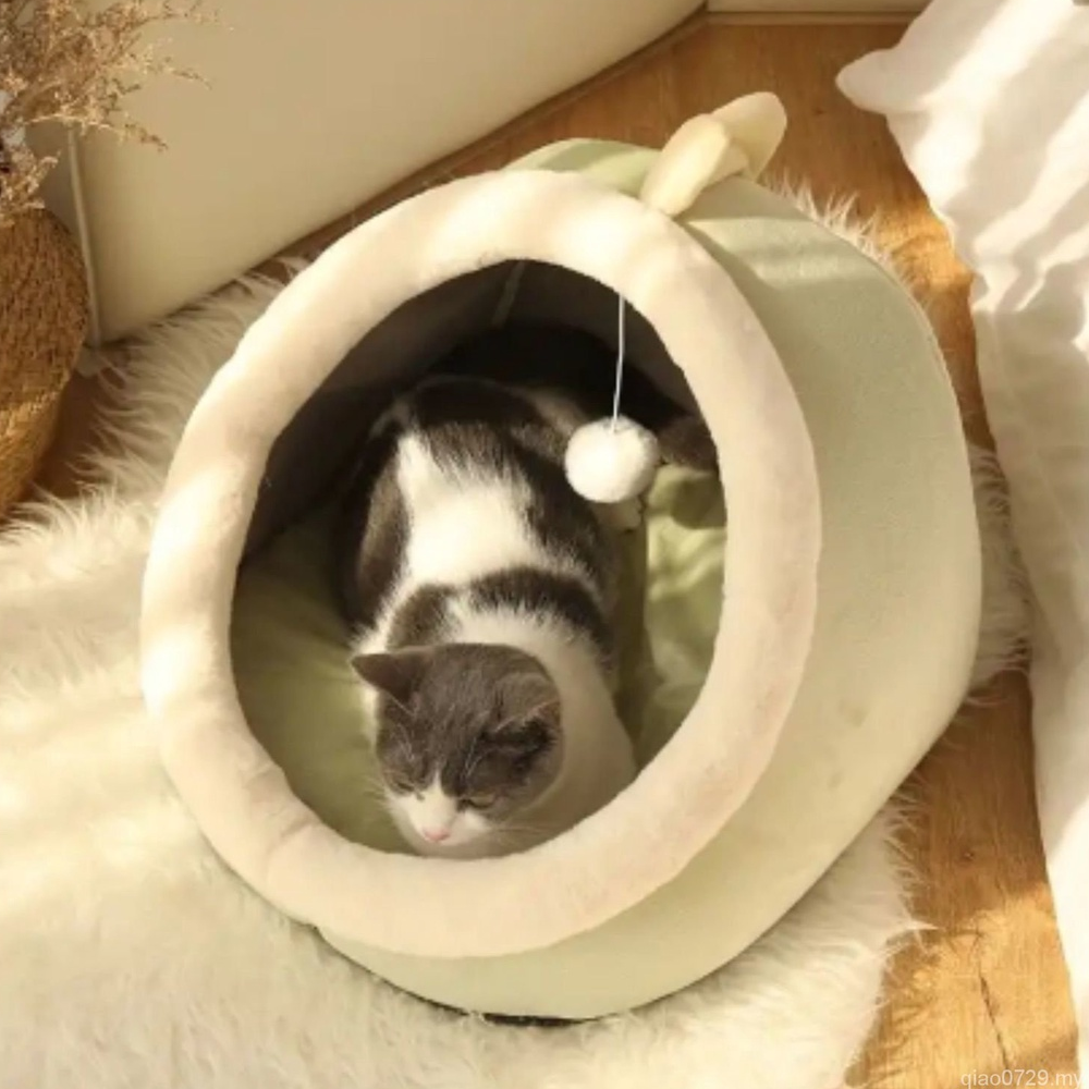 petcavebedgreendragon.png
