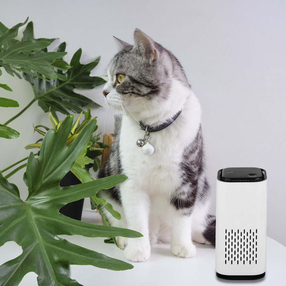 petairpurifier