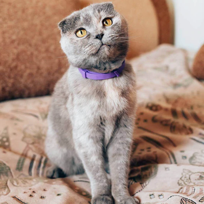 catcalmingcollar1.png
