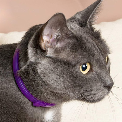 catcalmingcollar2.png