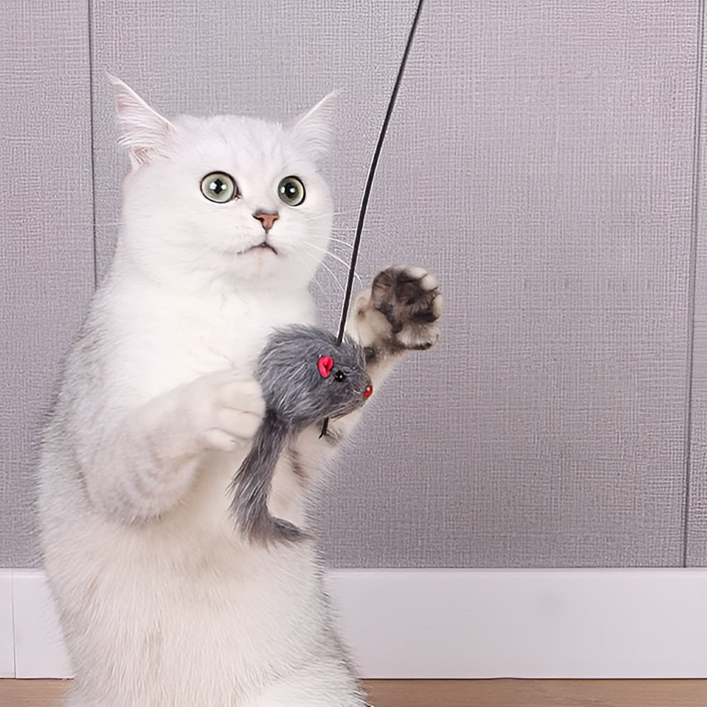 interactivehangingmousecattoy3.png