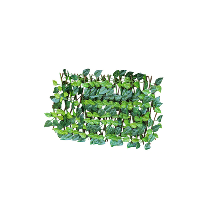 Retractable Garden Fence Green Rose Leaves