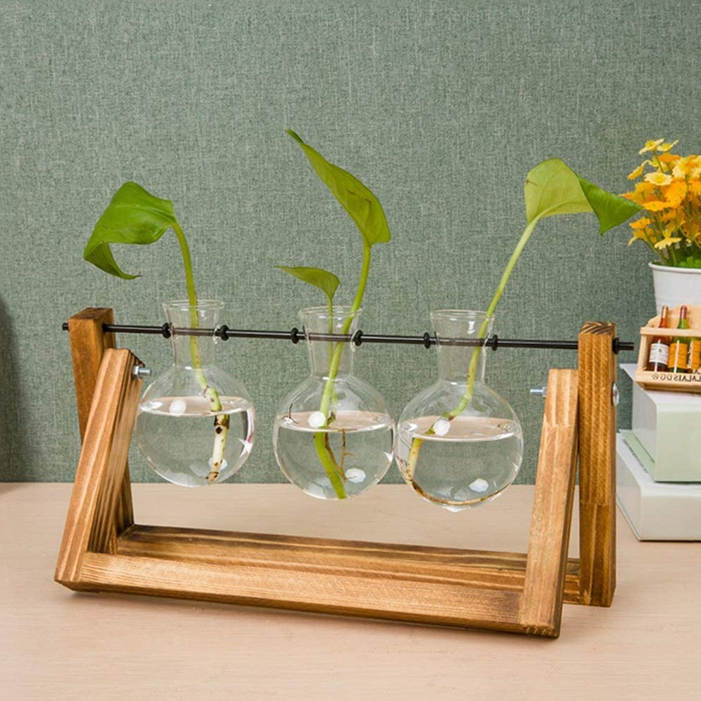 Vintage Hydroponic Plant Vase 9