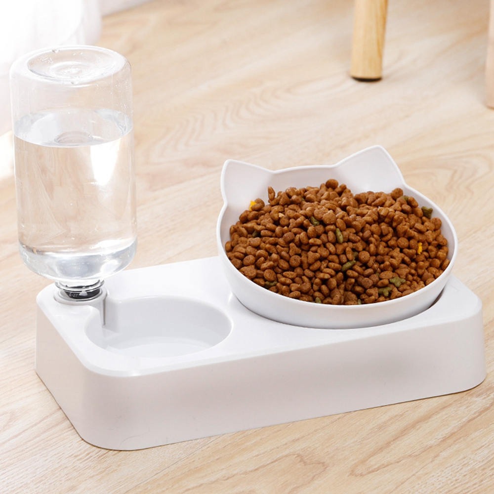 dogcatfeedingdoublebowl3.png