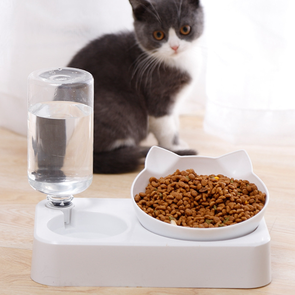 dogcatfeedingdoublebowl2.png