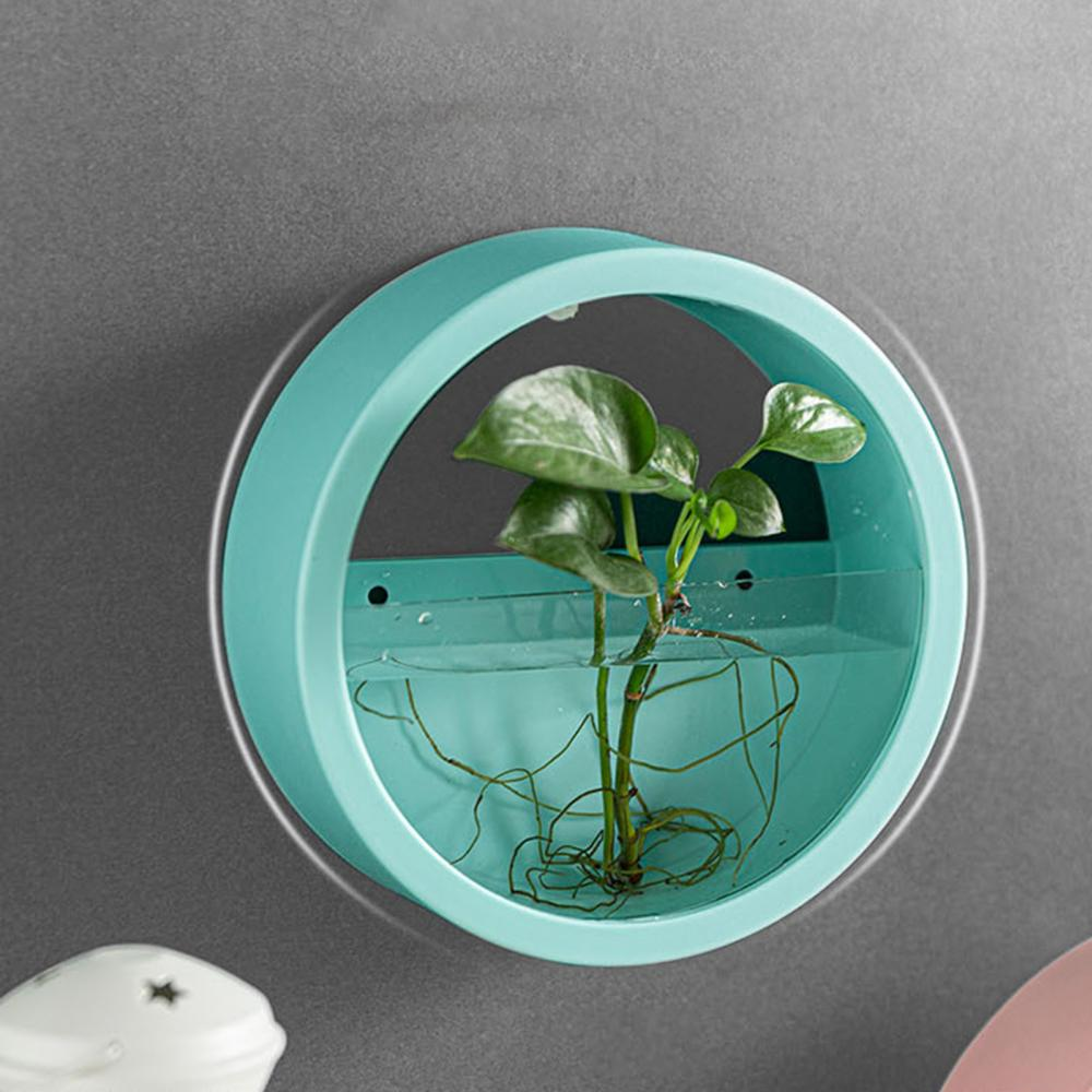 orbicularwallplantvase6.png