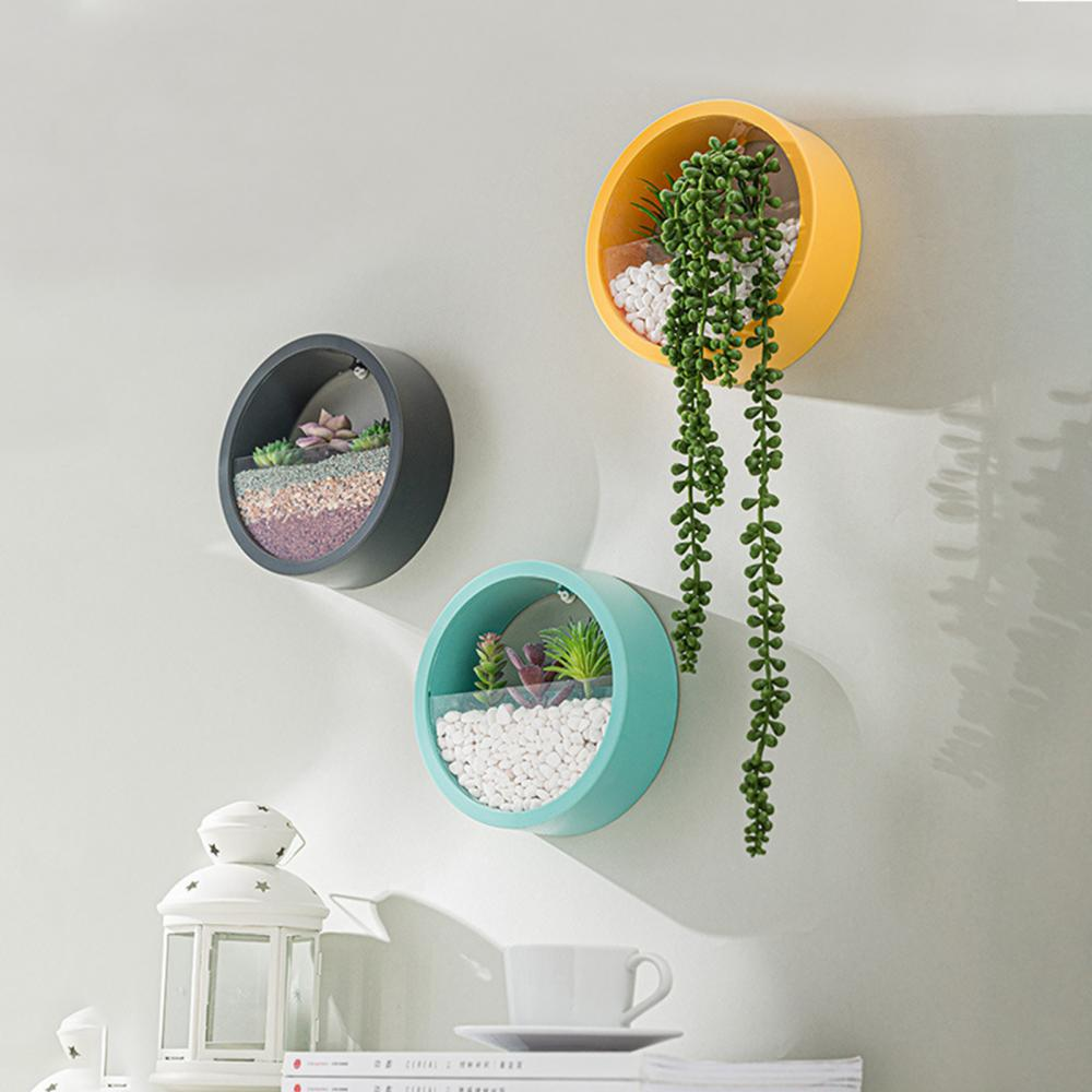 orbicularwallplantvase4.png
