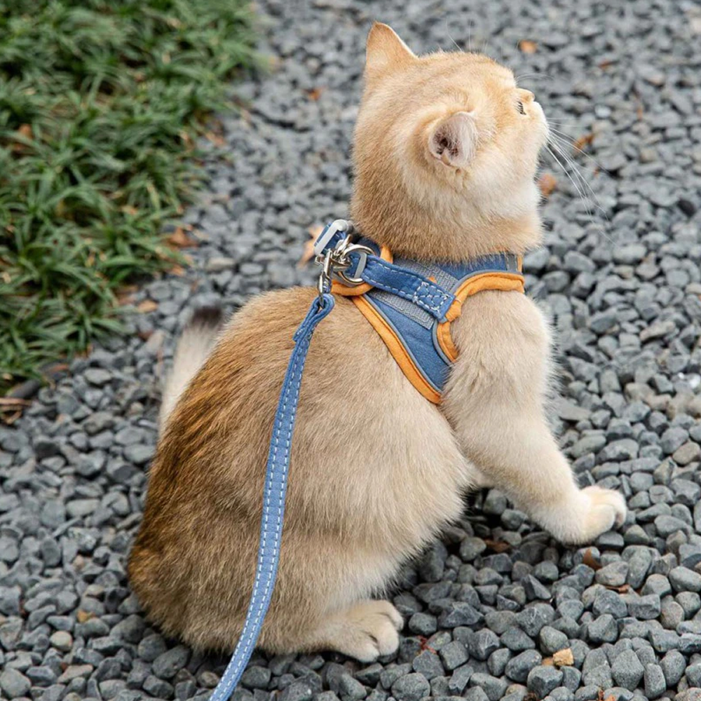 cat vest