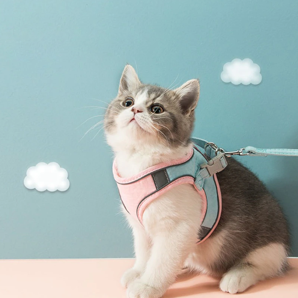 Luminous EscapeProof Cat Vest  Harness and Leash Set