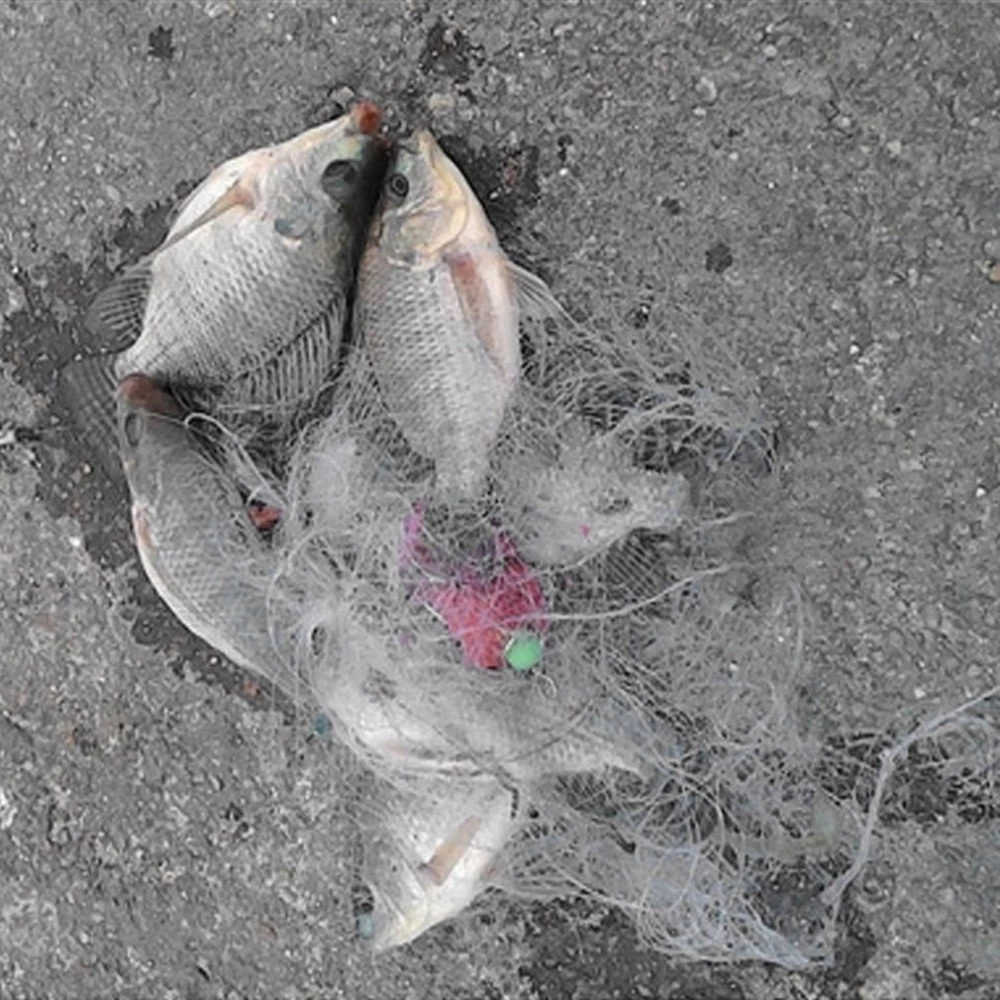explosivehookfishnet6.png