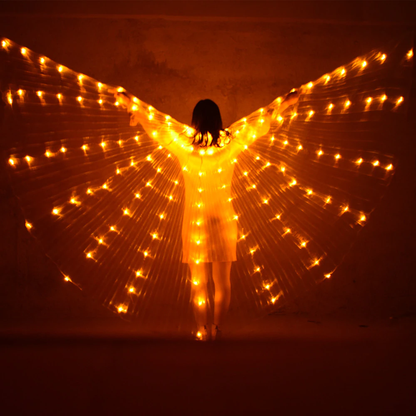 Ecofriendly LED costumes with rechargeable batteries