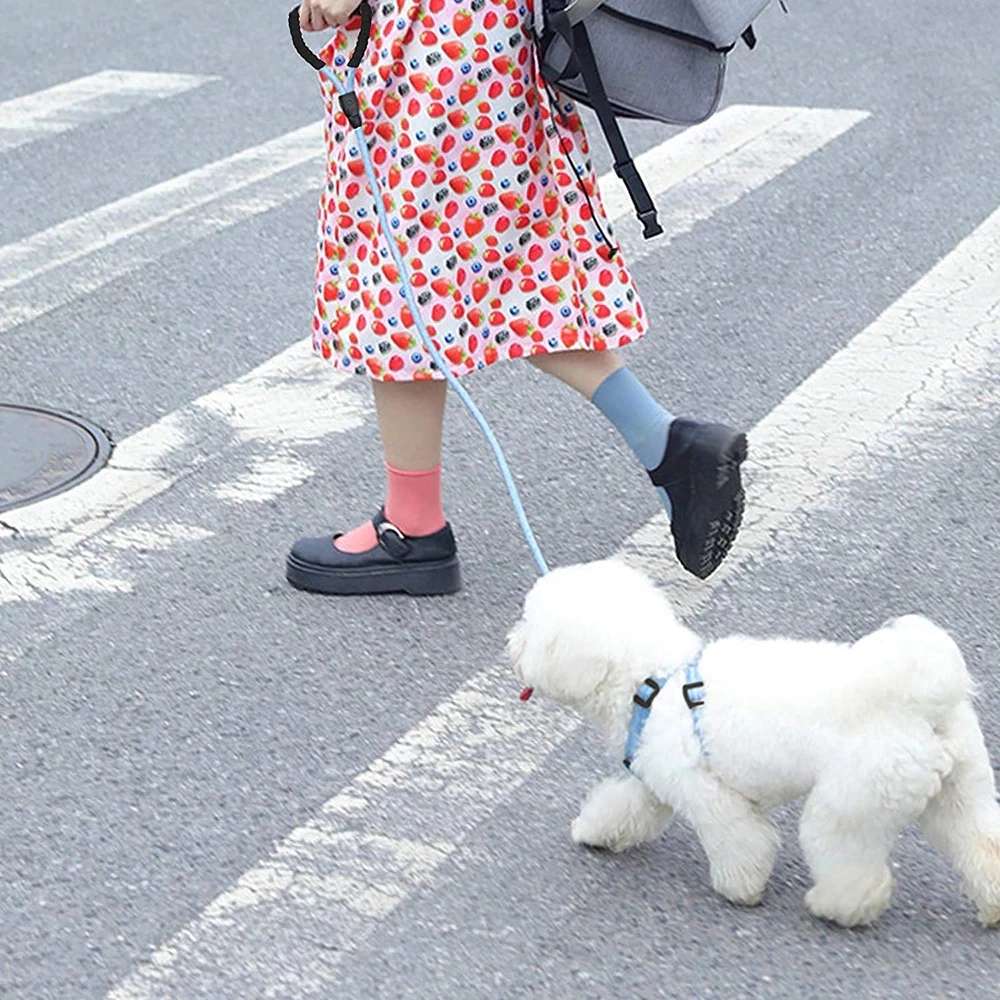 nylonropedogleash3.png