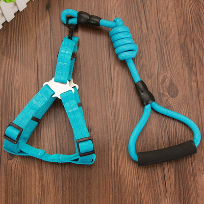 nylonropedogleashblue.png