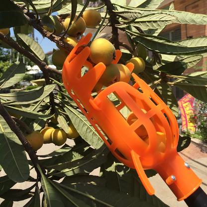 easyfruit2In1pickerbasket2.png
