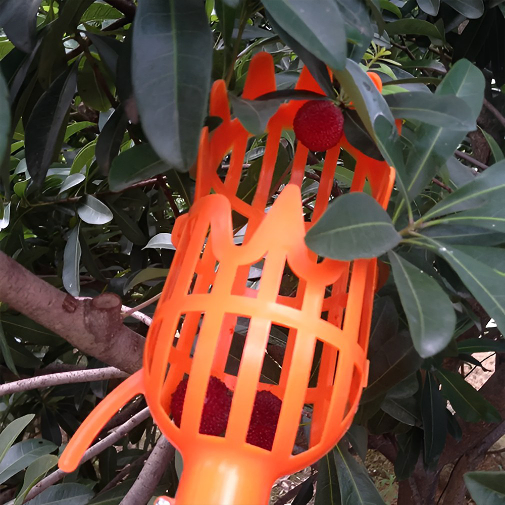 easyfruit2In1pickerbasket3.png
